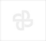 2024年PA视讯官方集团电气温室气体排放核查报告