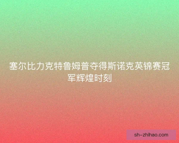 塞尔比力克特鲁姆普夺得斯诺克英锦赛冠军辉煌时刻