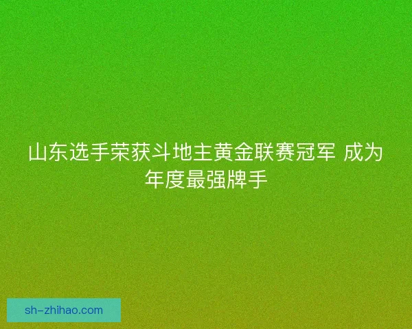 山东选手荣获斗地主黄金联赛冠军 成为年度最强牌手